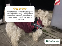 PawSteady No-Pull Dog Harness – Reflective & Adjustable