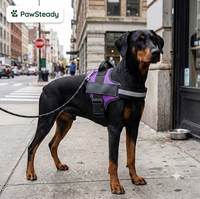 PawSteady No-Pull Dog Harness – Reflective & Adjustable