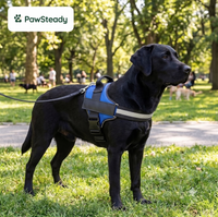 PawSteady No-Pull Dog Harness – Reflective & Adjustable