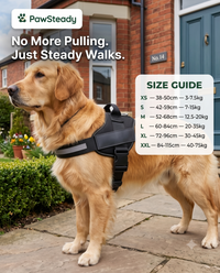 PawSteady No-Pull Dog Harness – Reflective & Adjustable