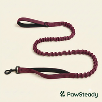 PawSteady Bungee Dog Leash