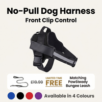 PawSteady No-Pull Dog Harness – Reflective & Adjustable