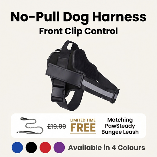 PawSteady No-Pull Dog Harness – Reflective & Adjustable