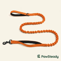 PawSteady Bungee Dog Leash