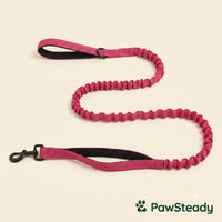 PawSteady Bungee Dog Leash