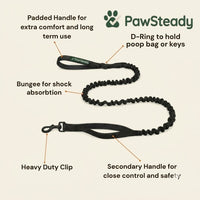 PawSteady Bungee Dog Leash