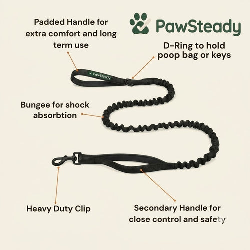 PawSteady Bungee Dog Leash
