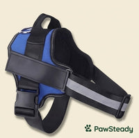 PawSteady No-Pull Dog Harness – Reflective & Adjustable
