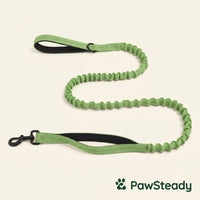 PawSteady Bungee Dog Leash