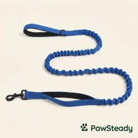 PawSteady Bungee Dog Leash