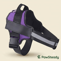 PawSteady No-Pull Dog Harness – Reflective & Adjustable