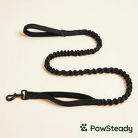 PawSteady Bungee Dog Leash