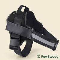 PawSteady No-Pull Dog Harness – Reflective & Adjustable